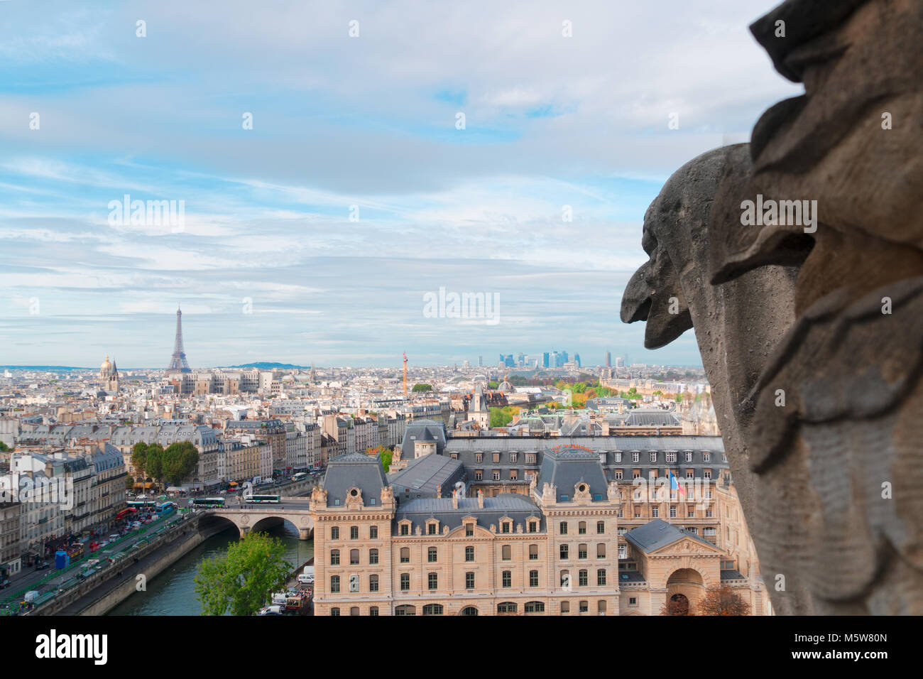 Wasserspeier von Paris Stockfoto