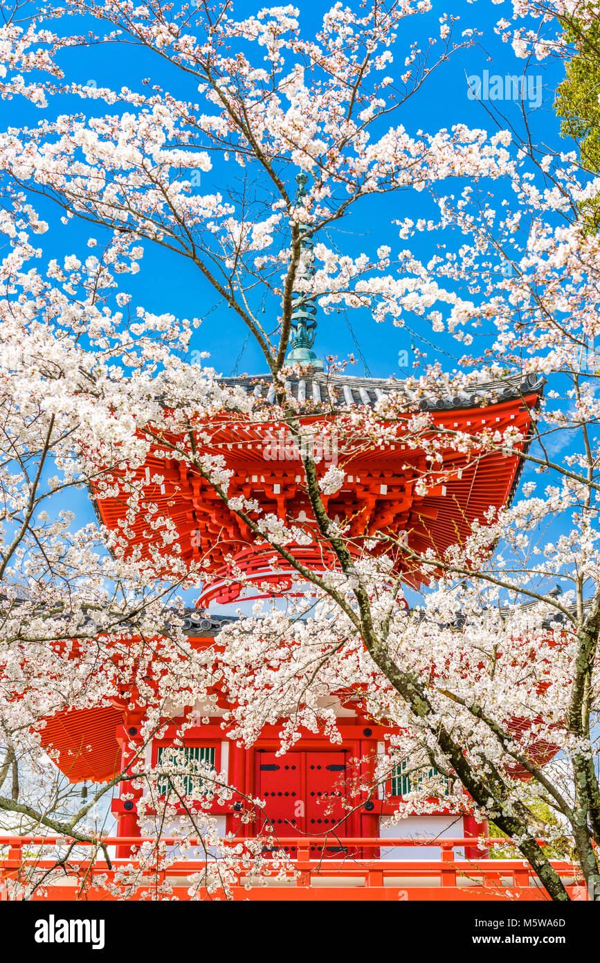 Kyoto, Japan am Daikaku-Ji-Tempel. Stockfoto
