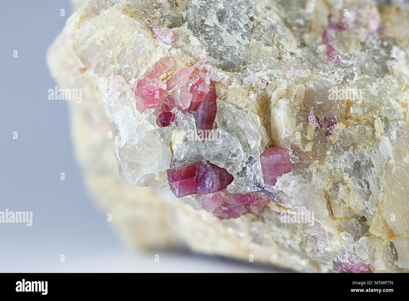 Rote Kristalle von lithiium Turmalin genannt Elbait oder rubellit aus Haapaluoma Lithium Steinbruch in Finnland Stockfoto