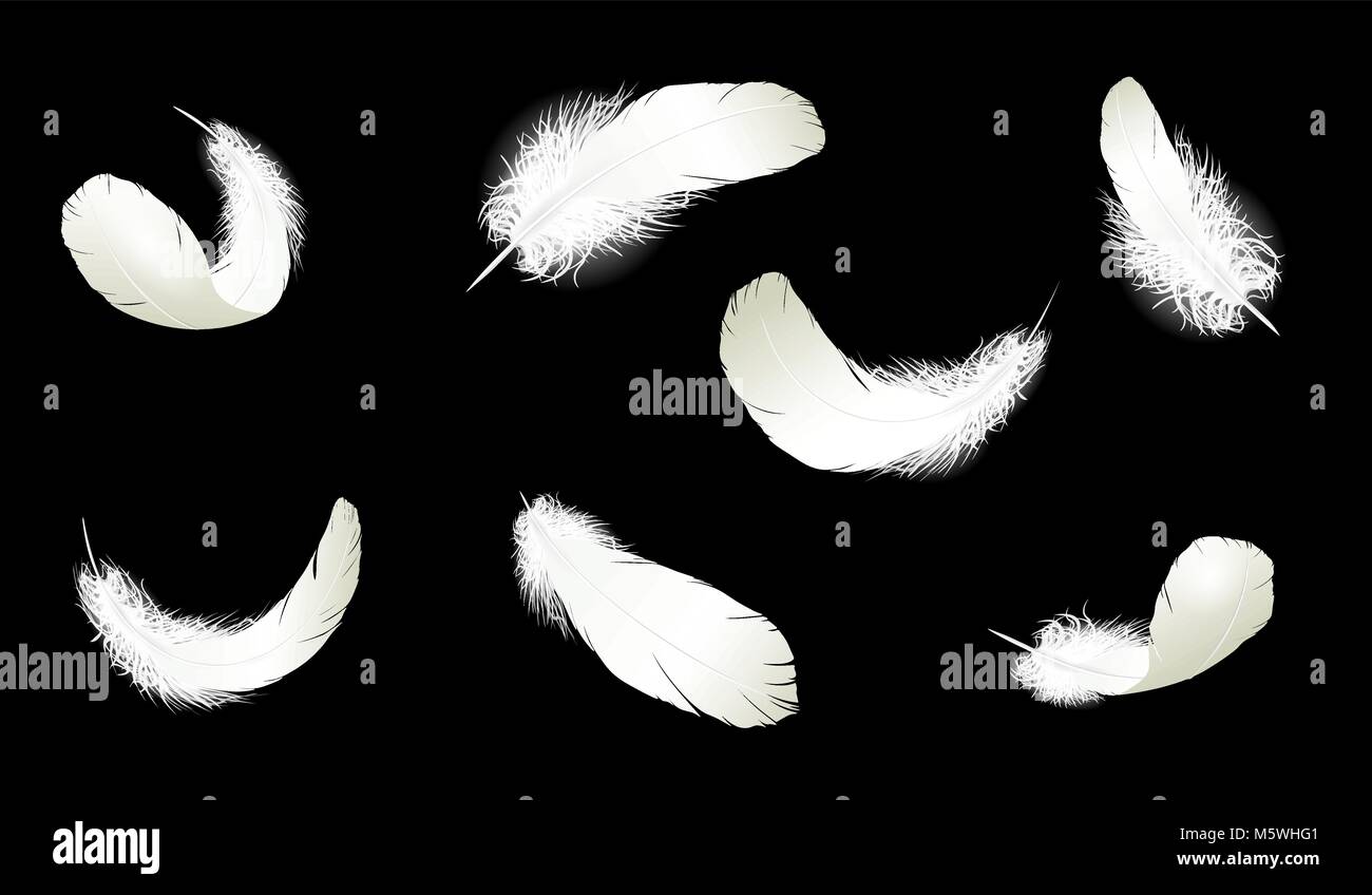 Realistische 3D-ausführliche White Swan pigeon feathers Flaum Sammlung schwarz blau hinterlegt. Vector Illustration. Herabfallende Federn abstrakten Lichtkomposition Luft wind Flight Design Element Stock Vektor