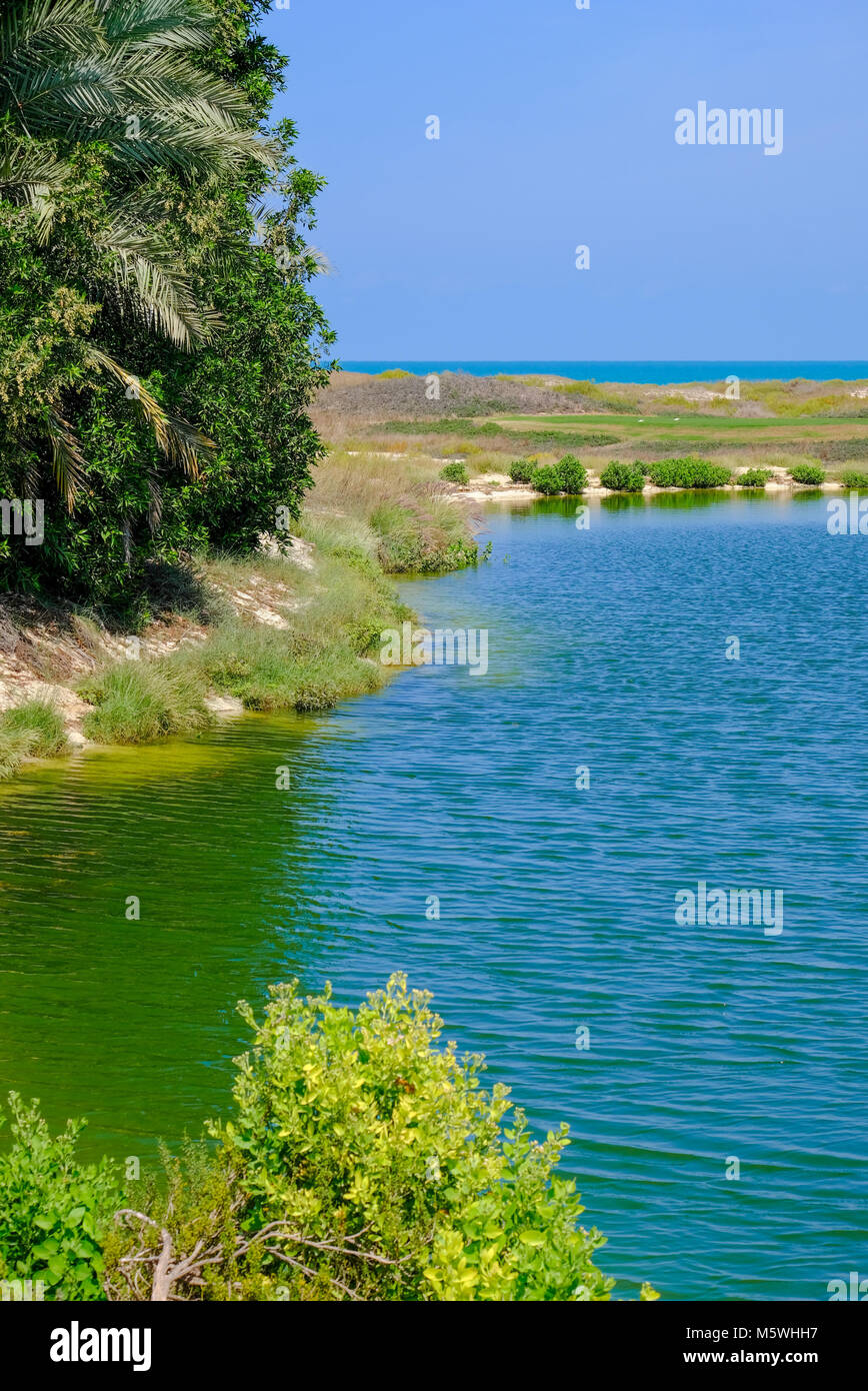 Für den vertikalen Bild einer Landschaft auf der Insel Saadiyat, öffentlichen Strand Golf See und Bäume mit blauem Himmel und Meer im Hintergrund. Stockfoto