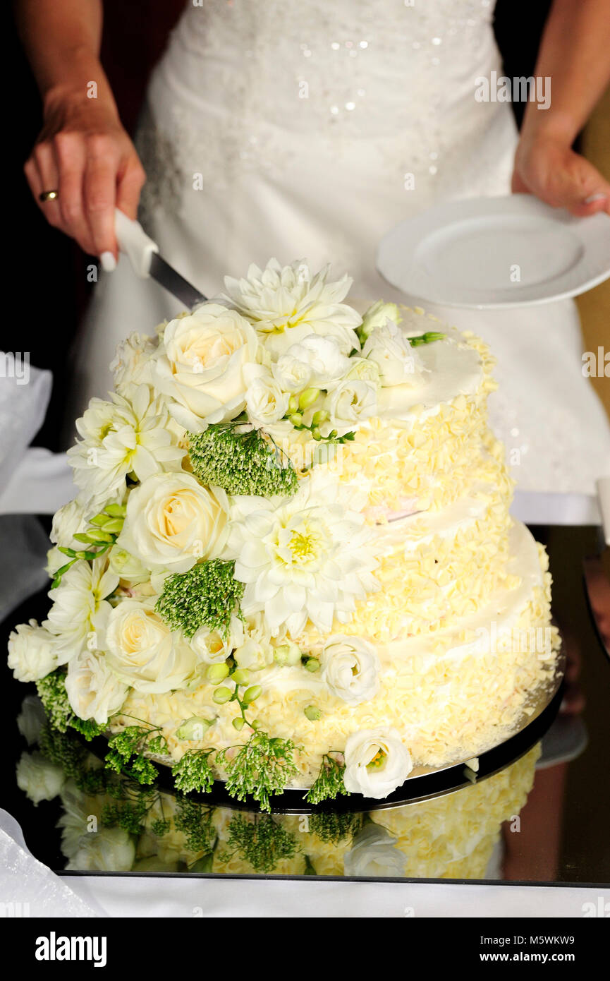 Braut, Kuchen, Zeremonie, Schneiden, Ereignis, Hochzeit, Kleidung, Party, Mann, Frauen, paar, Beziehung, süße Kuchen, Hochzeit Vibes, einzigartige Hochzeit, Stockfoto