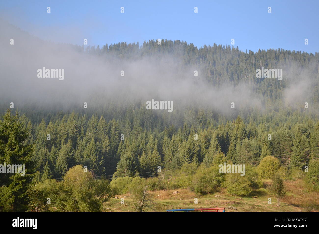 Rhodopi mountain Bulgarien - dospat See Stockfoto