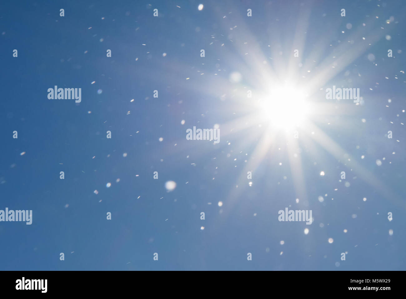 Hintergrund Der wolkenlosen blauen Himmel und Sonnenstrahlen leuchtende Schneeflocken in die Luft Stockfoto