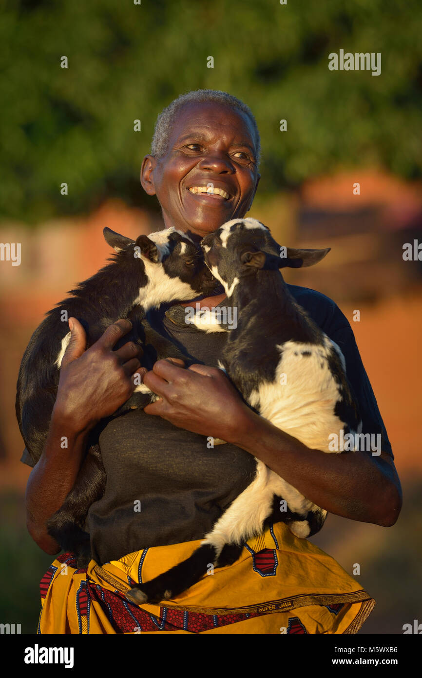 Ennis Theu hält Ziegen hebt sie als Teilnehmer in einem Gebäude nachhaltigen Lebensunterhalt Programm in Kaluhoro, Malawi. Stockfoto