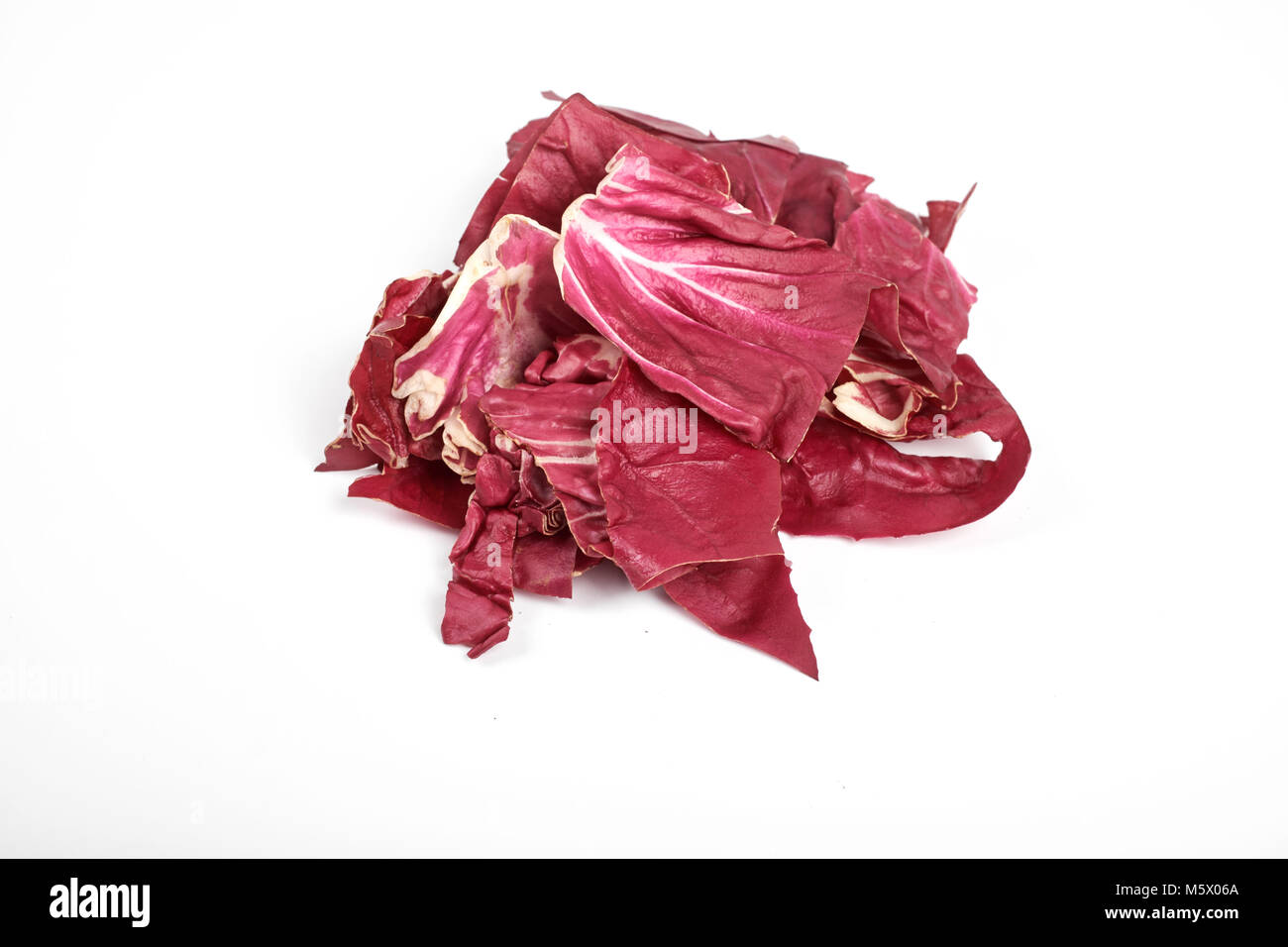 Radicchio, roter Salat isoliert auf weißem Hintergrund Stockfoto