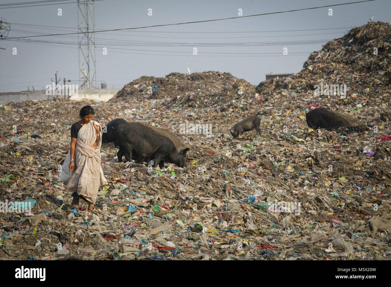 Neu Delhi Delhi Indien 1 Okt 14 Eine Frau Aus Den Slums Gesehen Zu Fuss Auf Einem Grossen Haufen Mull An Schweine Uber 25 Millionen Menschen Leben In Delhi Indien Was Ist Besonders
