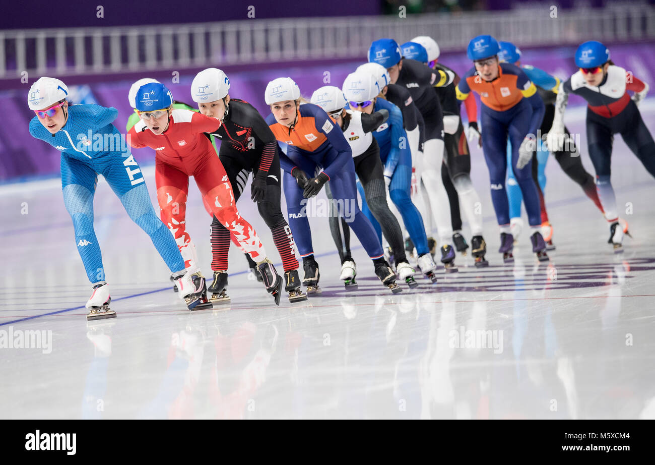 Starterfeld, Aktion, Pulka Finale Massenstart der Frauen, am 24.02.2018 Olympische Winterspiele 2018, vom 09.02. - 25.02.2018 in PyeongChang/Suedkorea. | Verwendung weltweit Stockfoto