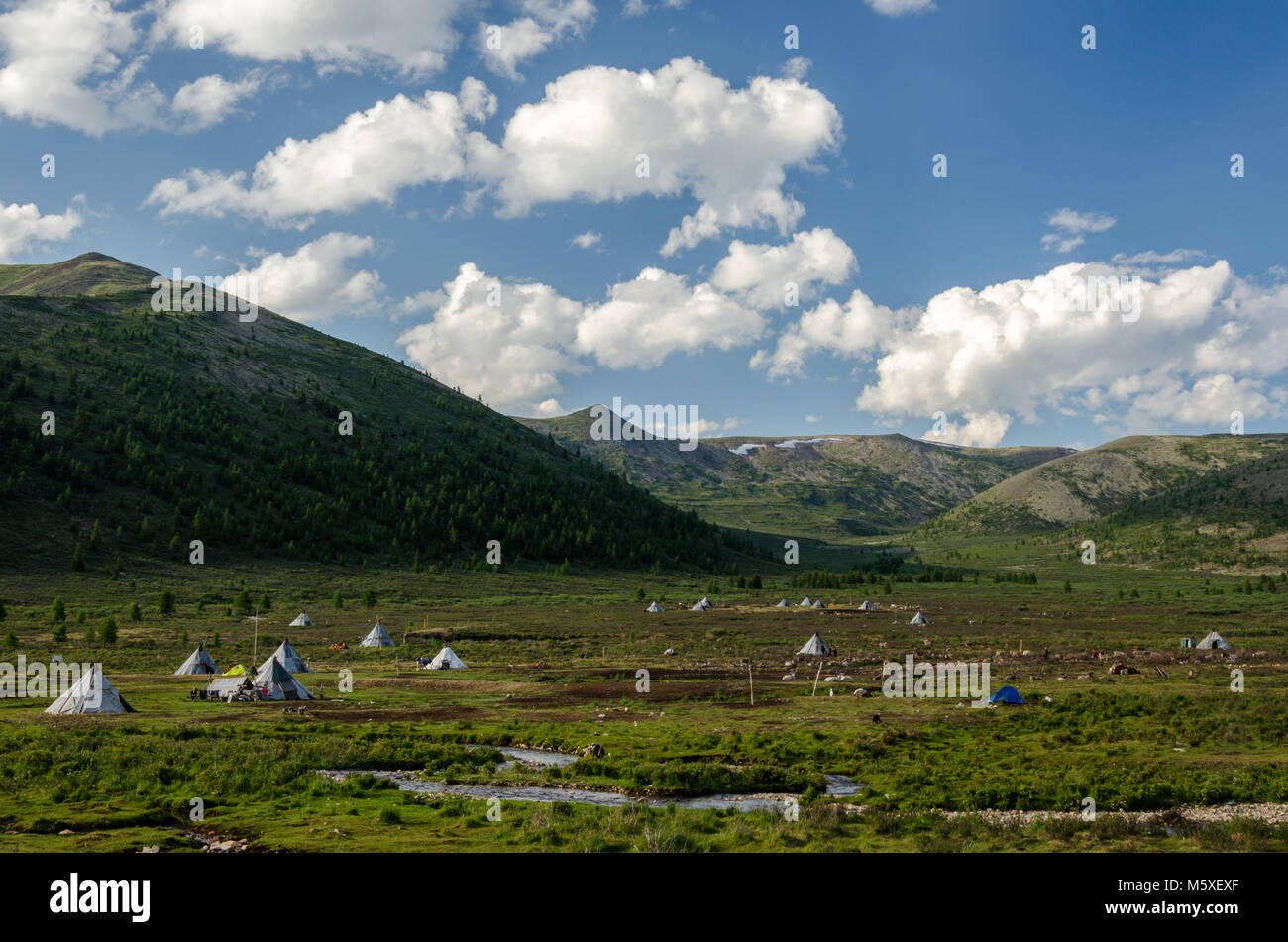 Tsaatan Leben, Rentierzüchter, Tsaaganuur, Mongolei Stockfoto