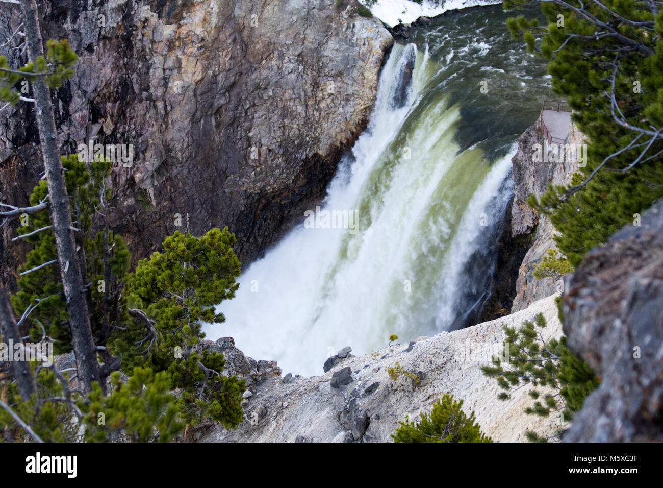 Grand Canyon of the Yellowstone River, Wyoming, USA Stockfoto