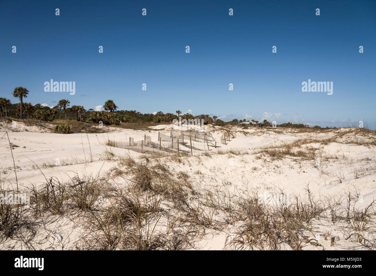 Die großen Dünen auf Jekyll Island Georgia Stockfoto