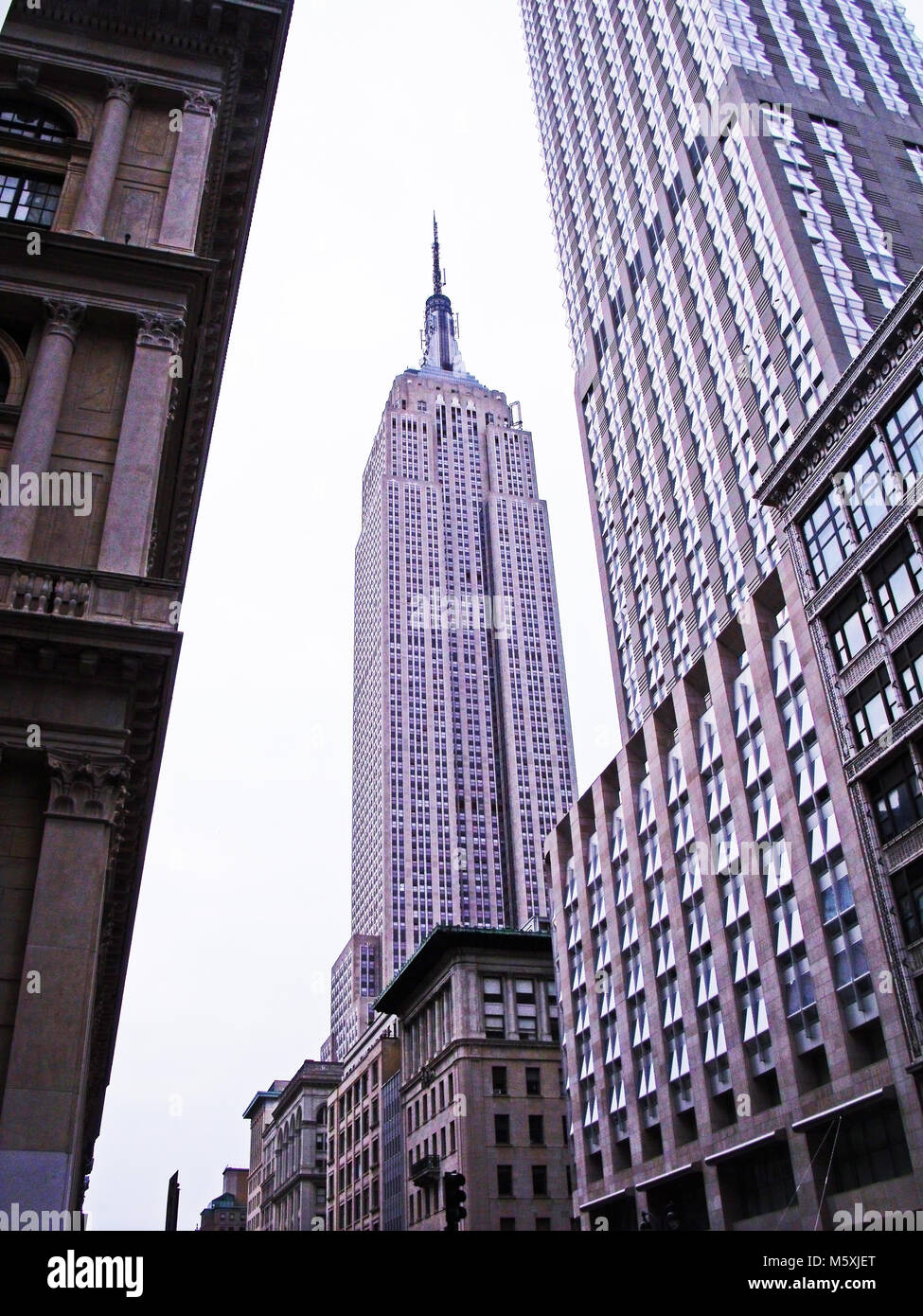 Ausblick auf das Empire State Building mit konvergierenden Branchen. Stockfoto