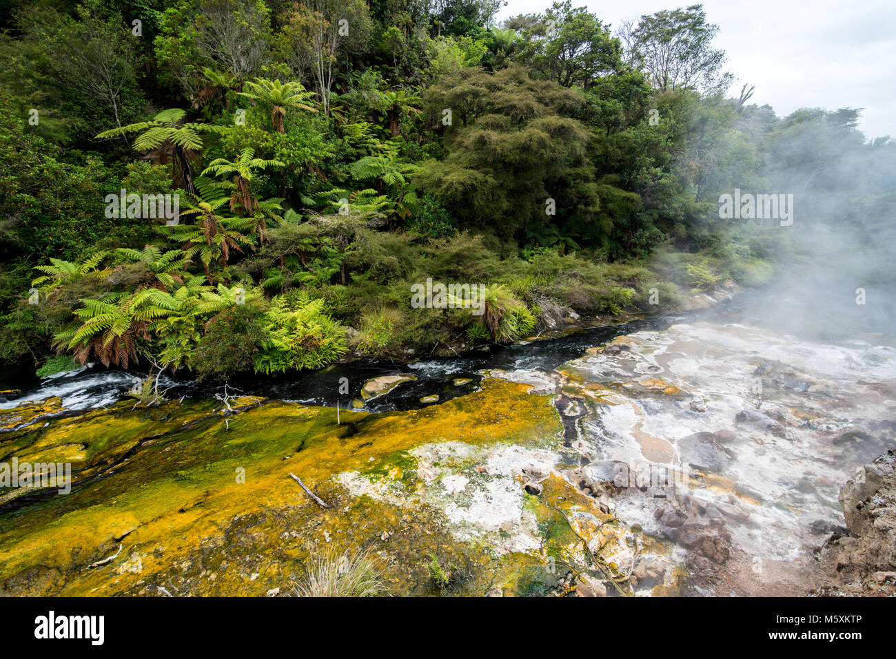Die prähistorische Landschaft in Rotorua Wai-o-Tapu geothermale Region Stockfoto
