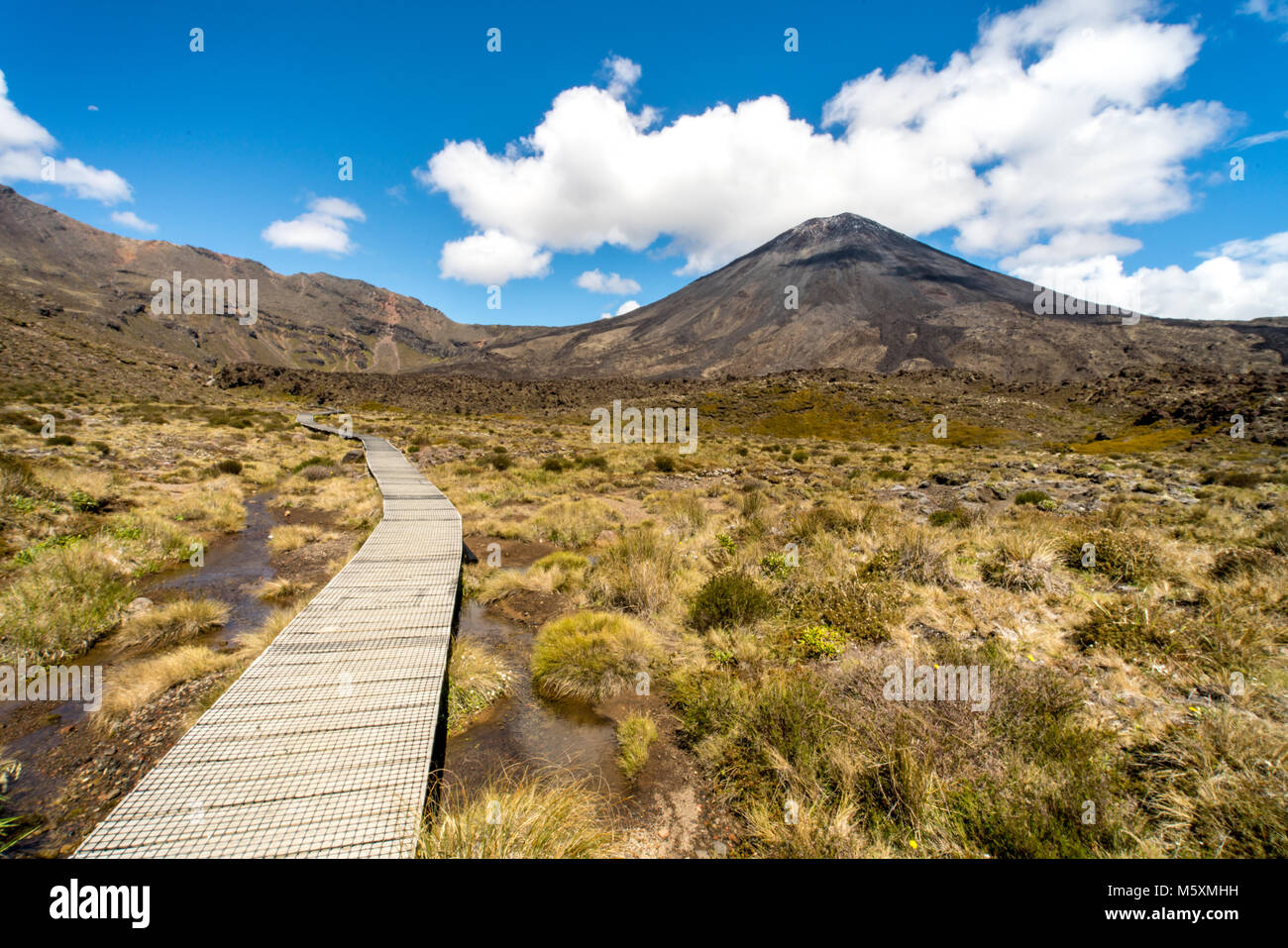 Pfad in Richtung Mt Ngauruhoe Vulkan, Neue Zaland - Mount Doom Stockfoto