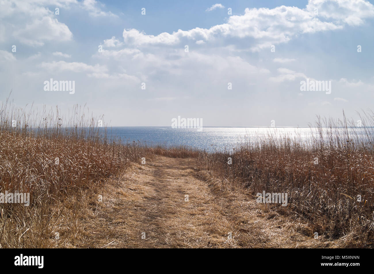 Eine ländliche Szene Straße zum Meer durch ein Feld von trockenem Gras symbolisiert den Weg von Winterschlaf und Kälte, Hitze zu Feder oder von Dürre zu speichern Stockfoto