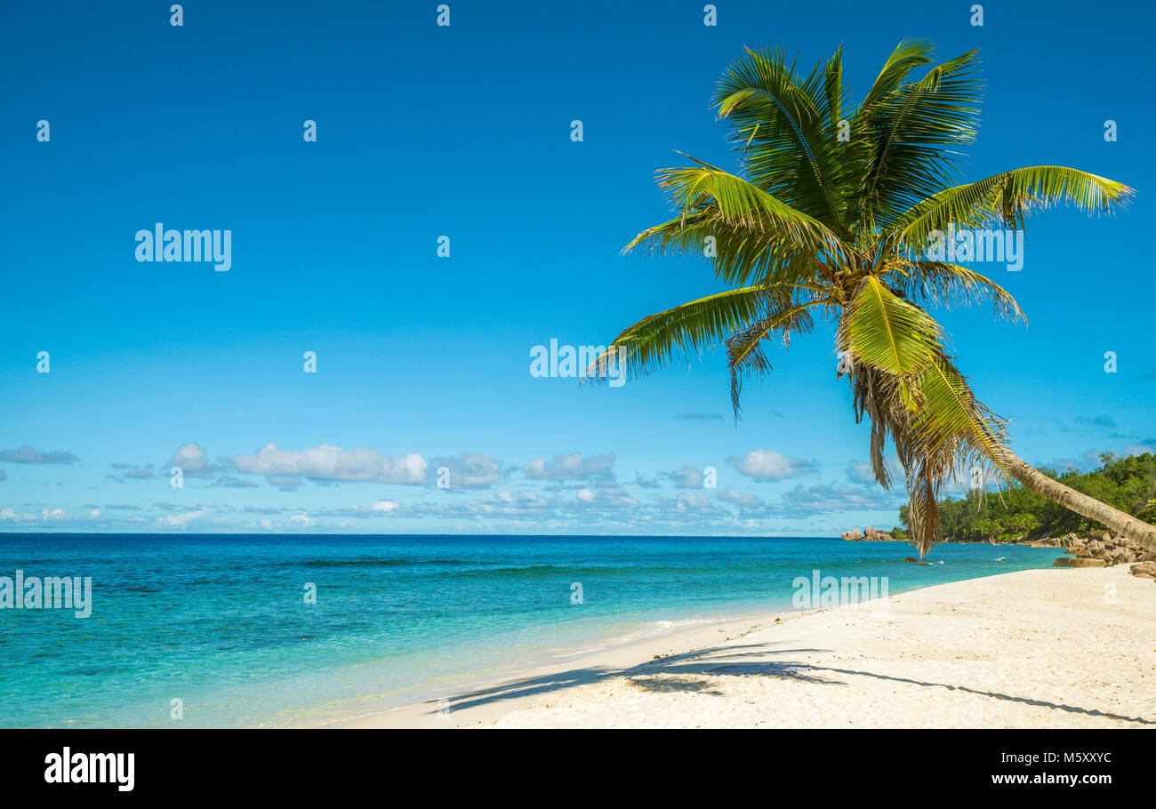 Tropical Island Beach. Perfekter Urlaub Hintergrund. Stockfoto