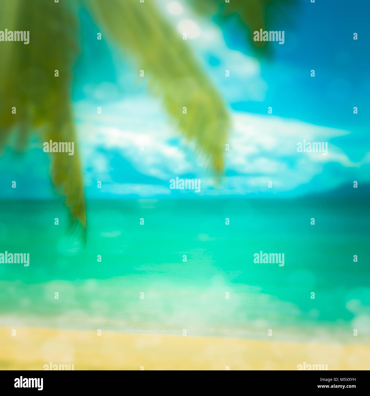 Defokussierten tropischen Strand. Perfekter Urlaub Hintergrund. Stockfoto