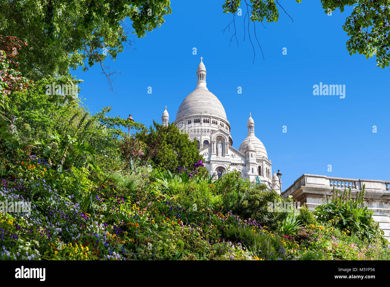 Grüne Beet mit Blumen wie die berühmten sacre-coeur Basilika am Hintergrund unter blauem Himmel in Paris, Frankreich. Stockfoto