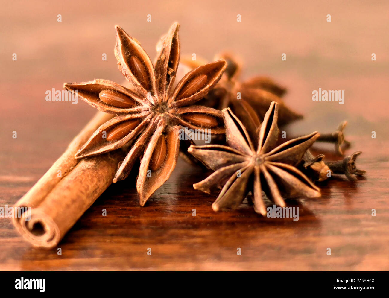 Sternanis, Zimt und Nelken auf einem Holztisch. weihnachtsbäckerei oder Kochen. Stockfoto