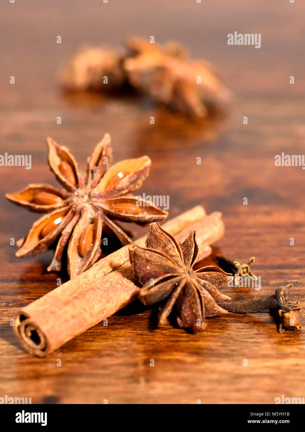 Sternanis, Zimt und Nelken auf einem Holztisch. weihnachtsbäckerei oder Kochen. Stockfoto
