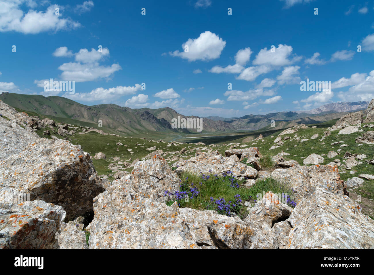 Köl-Suu kurumduk Tal, See, Provinz Naryn, Kirgisistan, Zentralasien Stockfoto