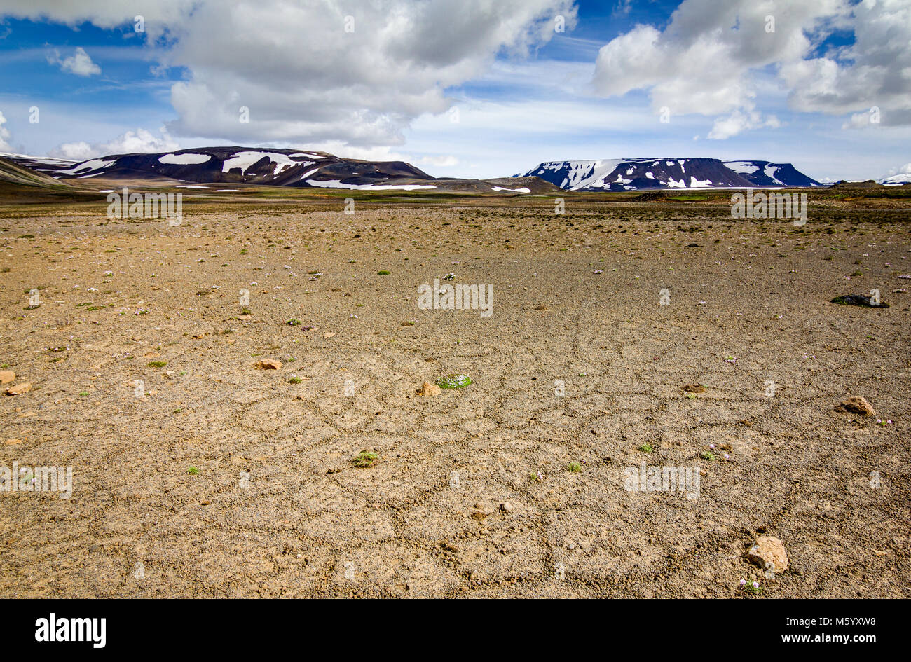 Patternd Boden mit Polygonen im schönen ursprünglichen isländischen Hochland. Island Stockfoto