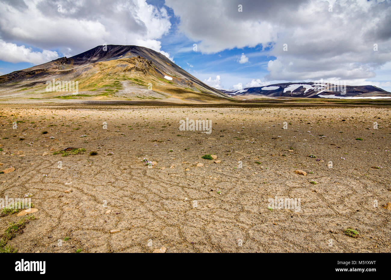 Patternd Boden mit Polygonen im schönen ursprünglichen isländischen Hochland. Island Stockfoto