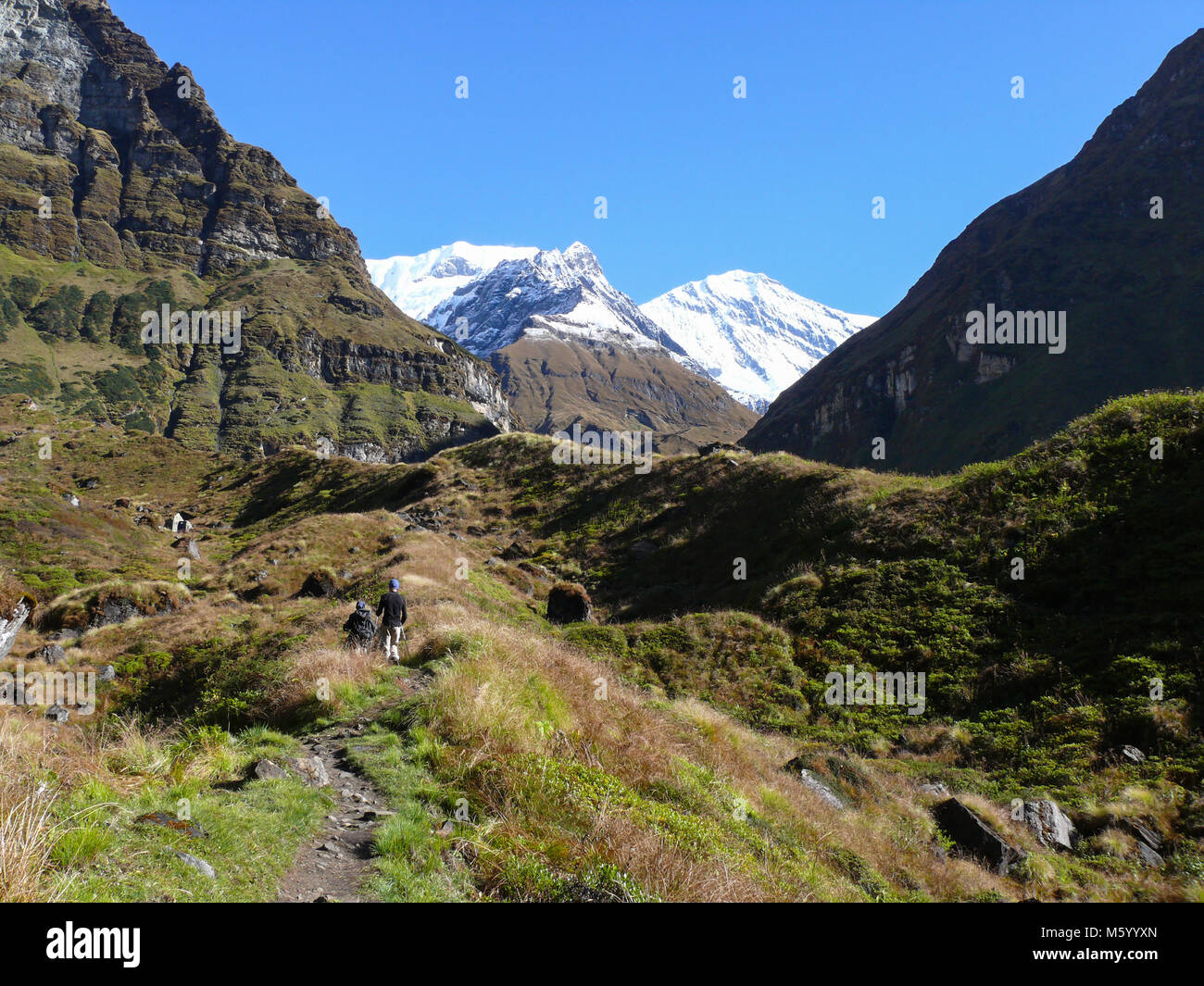 Touristen auf dem Weg zum Annapurna Base Camp, Annapurna Umrundung trekin Nepal Stockfoto