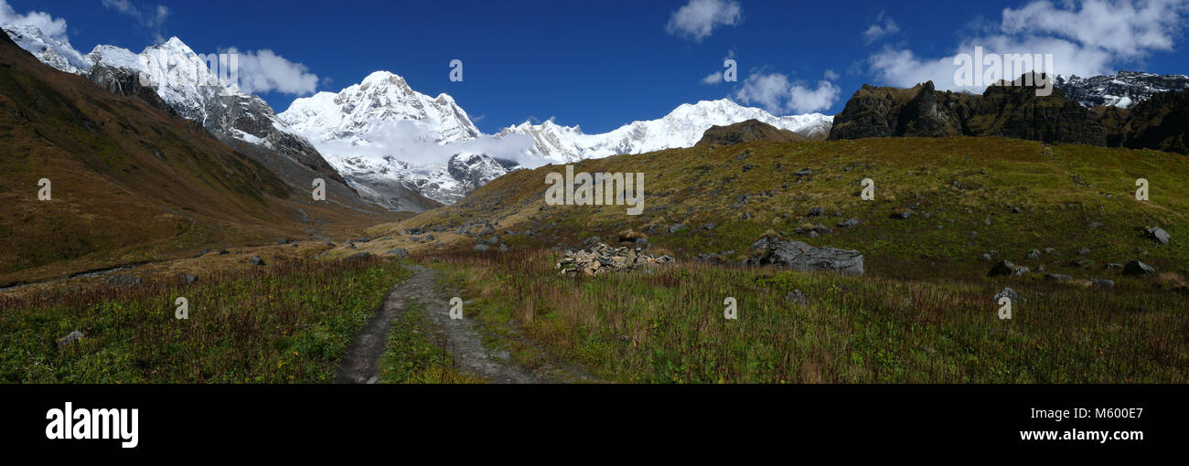 Annapurna Base Camp Panorama, schneebedeckten Himalaya und Bergwiesen, Annapurna Circuit Trek in Nepal Stockfoto