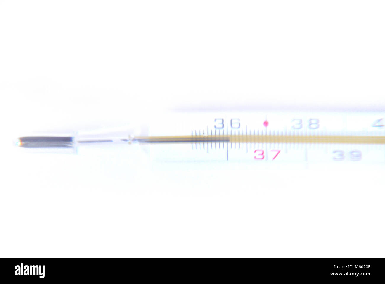 Klinische Thermometer auf weißem Hintergrund whit Freistellungspfad Stockfoto