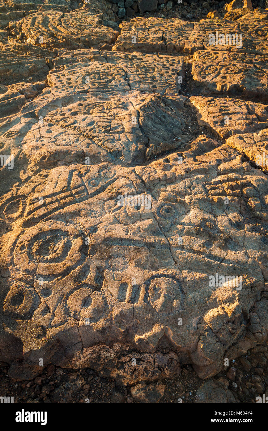 Hawaiian Felszeichnungen auf die Könige Trail at Waikoloa, Kohala Küste, Big Island, Hawaii USA Stockfoto