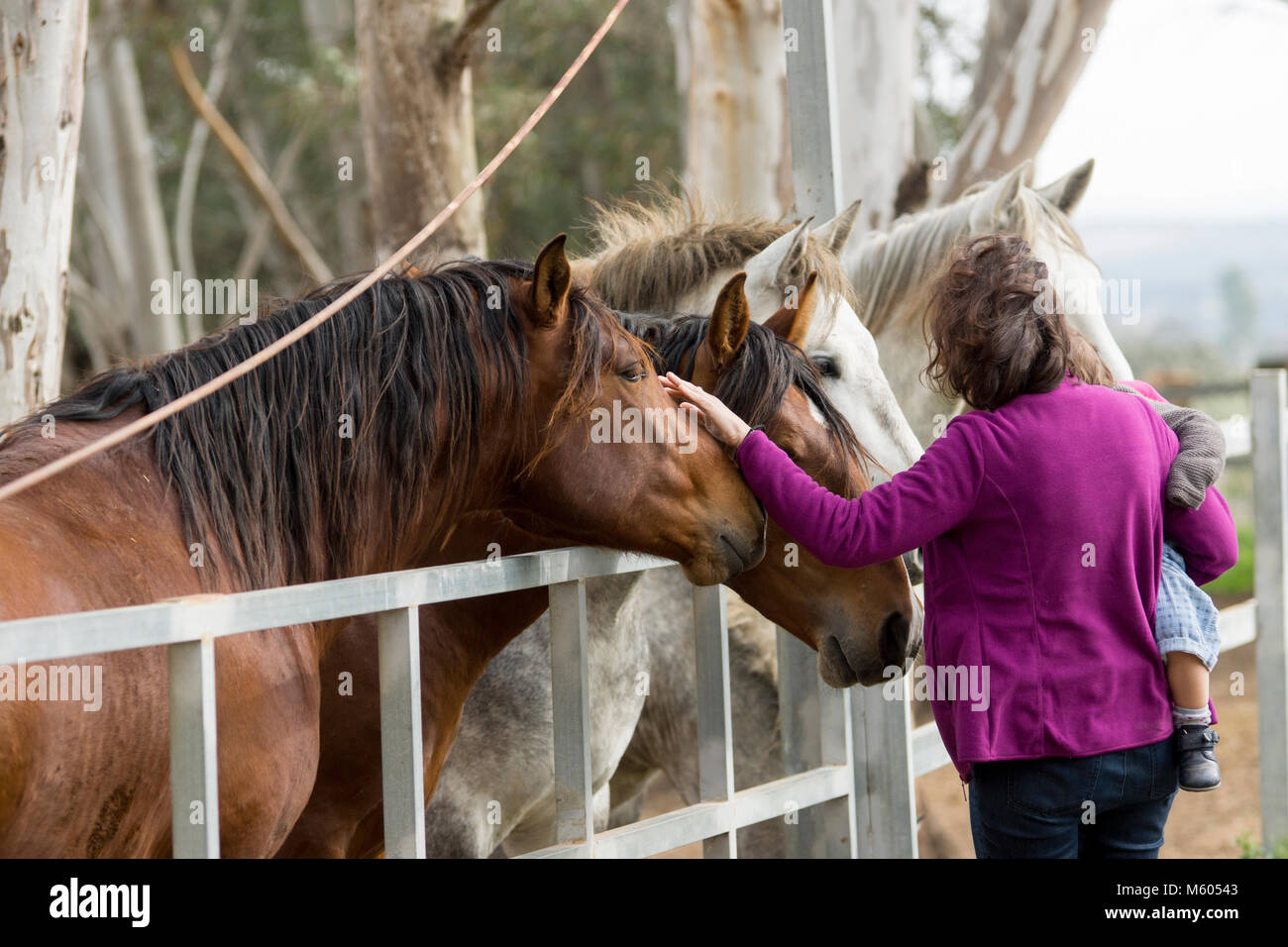 Eine Frau streichelt mit Liebe spanische Pferd mit Ihrer Tochter Stockfoto