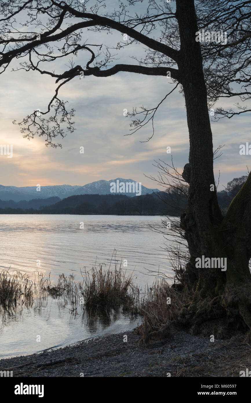 Am späten Nachmittag Sonne widerspiegelt auf Loch Achray Stockfoto