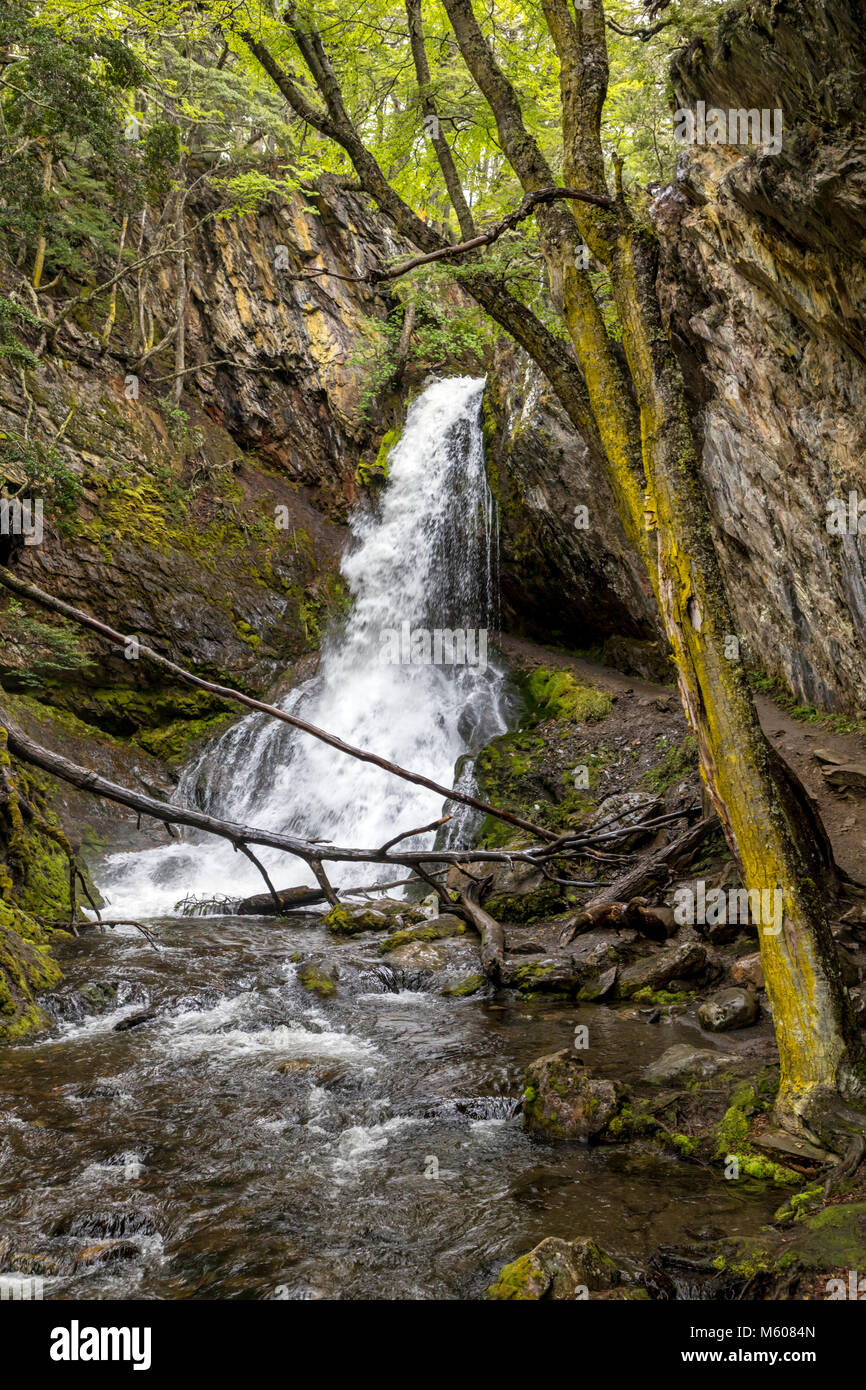 Sendero ein Velo La Cascada de La Novia; Pfad zum Velo de La Novia Wasserfall, Ushuaia, Argentinien Stockfoto