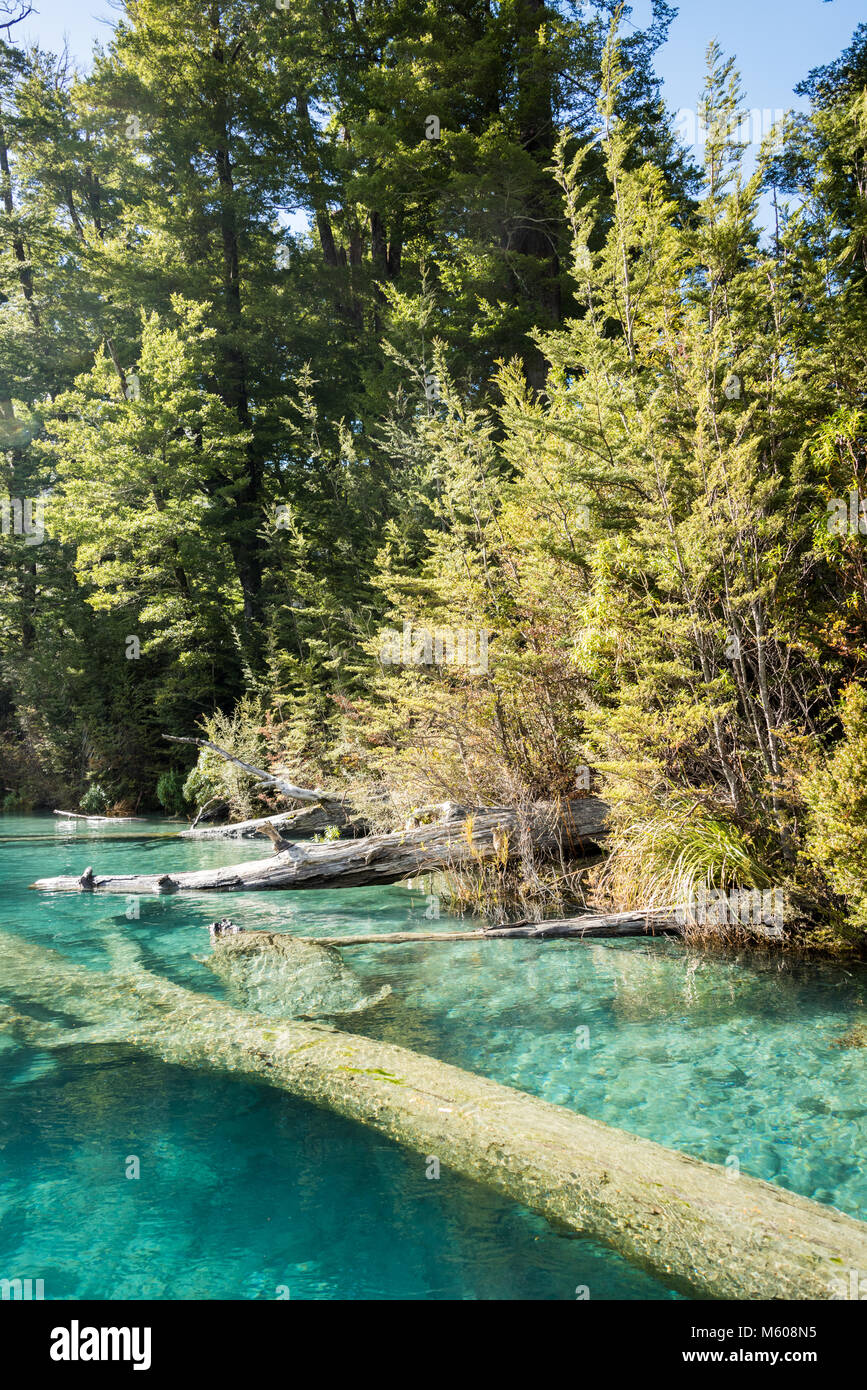 Landschaft von Dart River Jet Boat, Glenorchy, Südinsel, Neuseeland Stockfoto