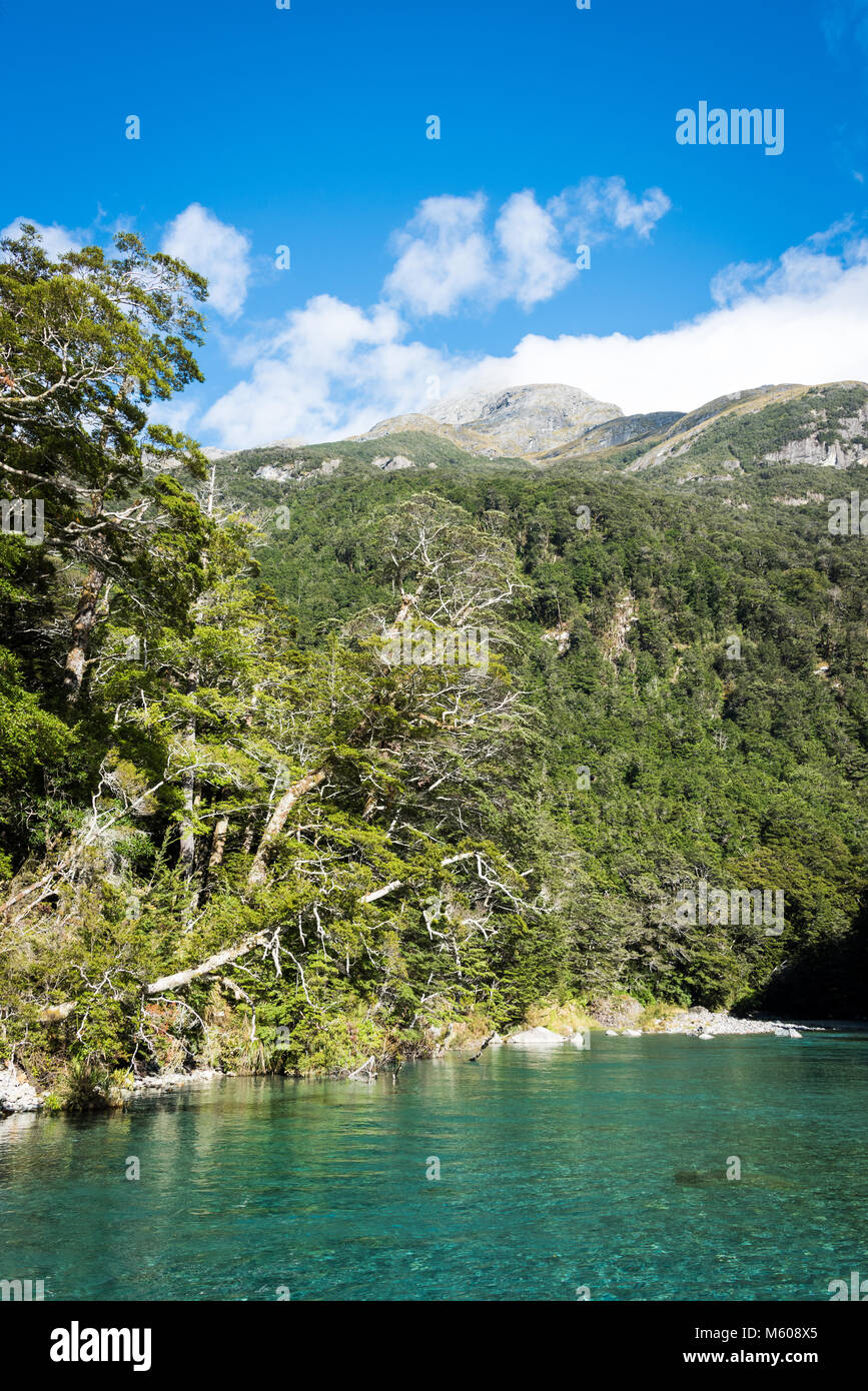 Landschaft von Dart River Jet Boat, Glenorchy, Südinsel, Neuseeland Stockfoto