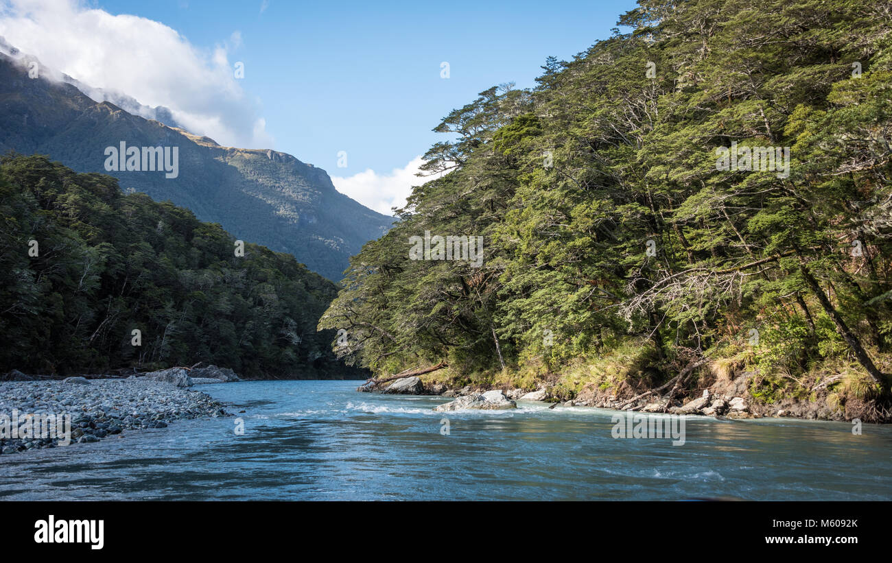 Landschaft von Dart River Jet Boat, Glenorchy, Südinsel, Neuseeland Stockfoto