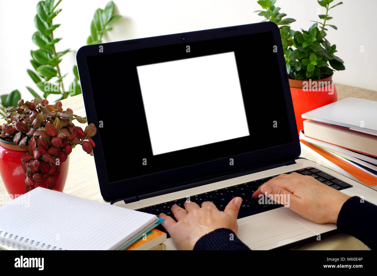 Laptop mit einem weißen Quadrat und die Frau die Hände schreiben auf Laptop Tastatur. Werbeflächen auf dem Bildschirm Stockfoto