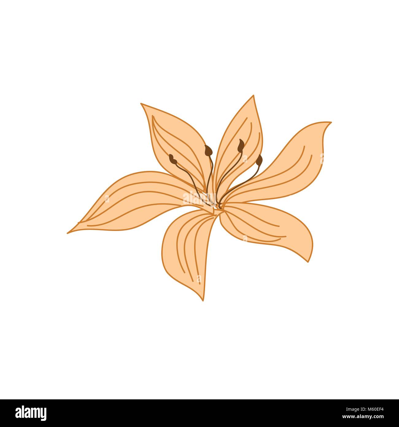 Schöne tropische Blume Hand gezeichnet Abbildung Stock Vektor