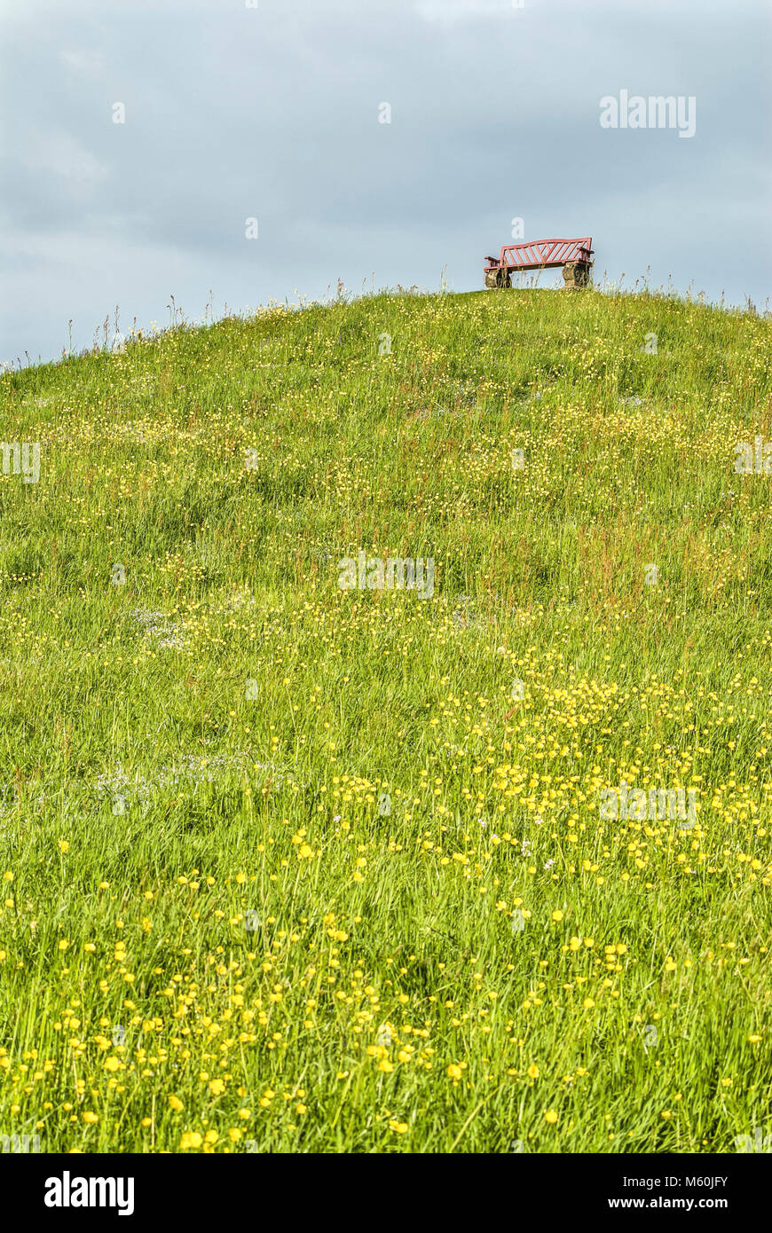 Einsame und leere Bank auf einem grünen Spring Lawn Hill mit Blumen, Schweiz Stockfoto