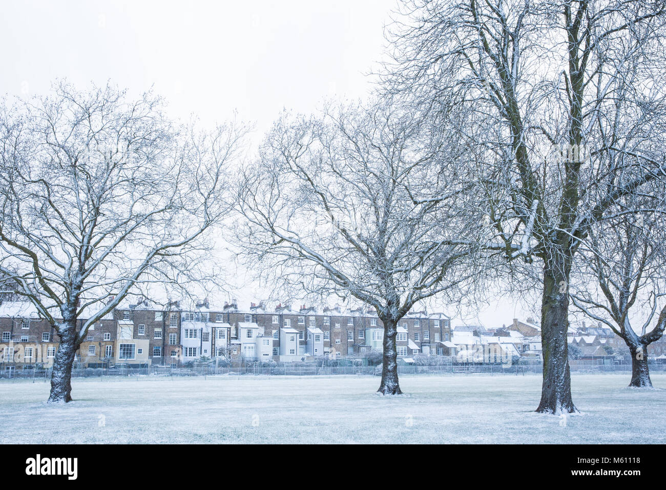 Windsor, Großbritannien. 27. Februar, 2018. Am späten Nachmittag Schneefall im Windsor Great Park. Credit: Mark Kerrison/Alamy leben Nachrichten Stockfoto