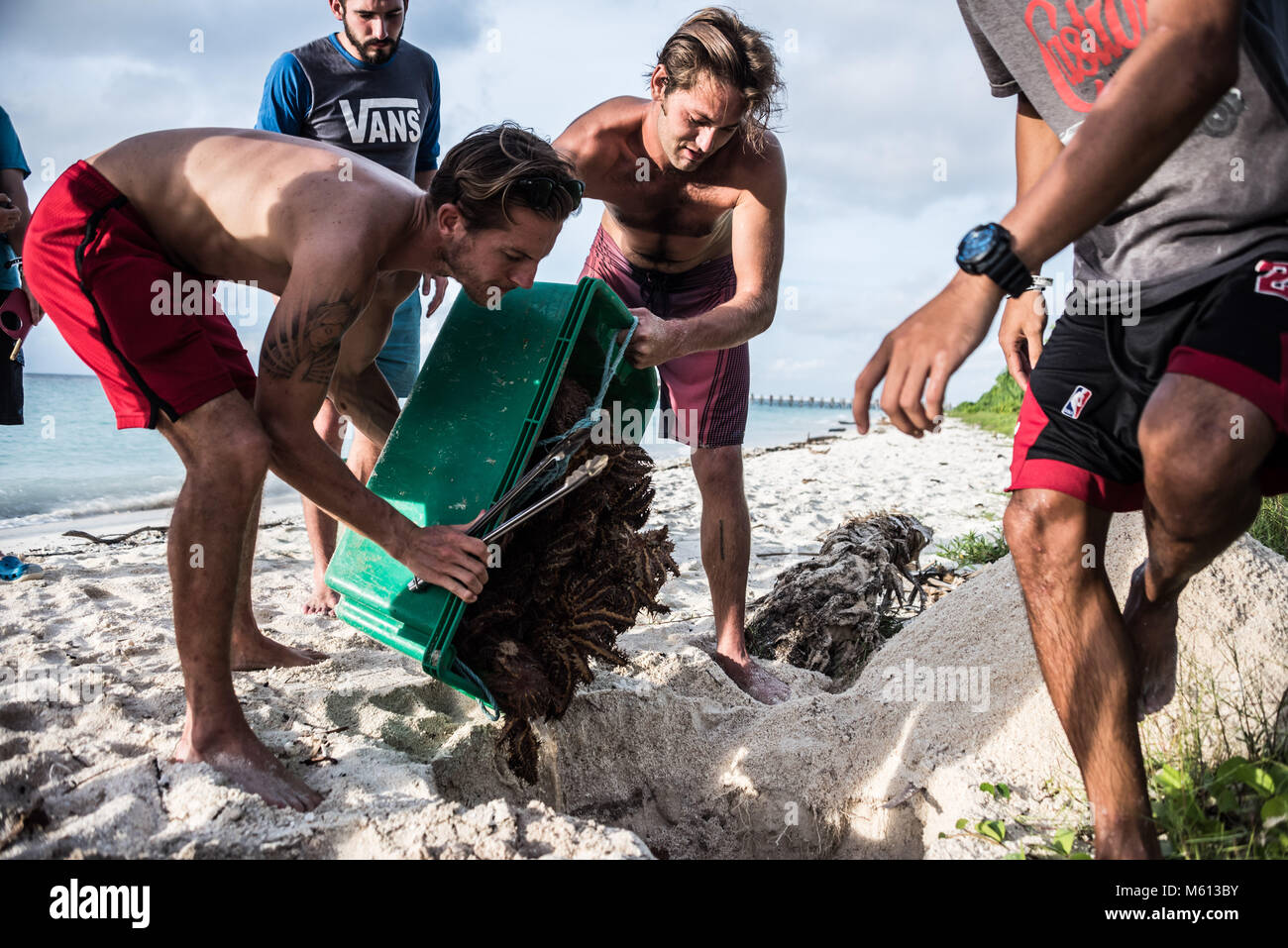 Sabah, Malaysia. 19 Dez, 2017. Freiwillige gesehen die Vorbereitung der Seesterne ins Meer freigegeben werden. eine Dornenkrone Starfish cull durchgeführt, die von Freiwilligen an TRACC (Tropische Forschung und Conservation Centre) in Sabah, Malaysia. Diese invasive Arten negativ auf die Korallenriffe. Dornenkrone Starfish Korallenpolypen Essen und sehr schnell, wo Sie sich nicht heimisch und daher nicht genug natürliche Feinde haben reproduzieren, können Sie ein Riff System innerhalb von Wochen dezimieren. Credit: EFImages -6566.jpg /SOPA Images/ZUMA Draht/Alamy leben Nachrichten Stockfoto