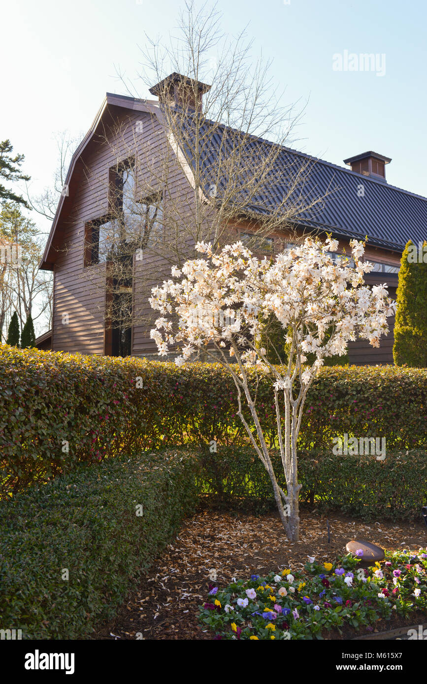 Charlotte, NC, USA. 27 Feb, 2018. Besucher Linie um die schöne Billy Graham Library Campus, um ihren Respekt zu der Reverend, der am 21. Februar 2018 starb zu bezahlen. Rev. Graham's Beerdigung wird am Freitag auftreten, gefolgt von einer Grabstätte Service. Er wird neben seiner Frau Ruth im Gebet Garten an der Billy Graham Library in Charlotte begraben werden. Credit: Schloss Bilder/Alamy Leben Nachrichten. Stockfoto