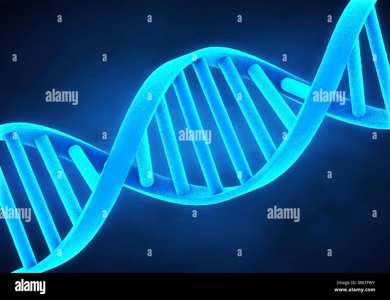 DNA-Molekül Abbildung Stockfoto