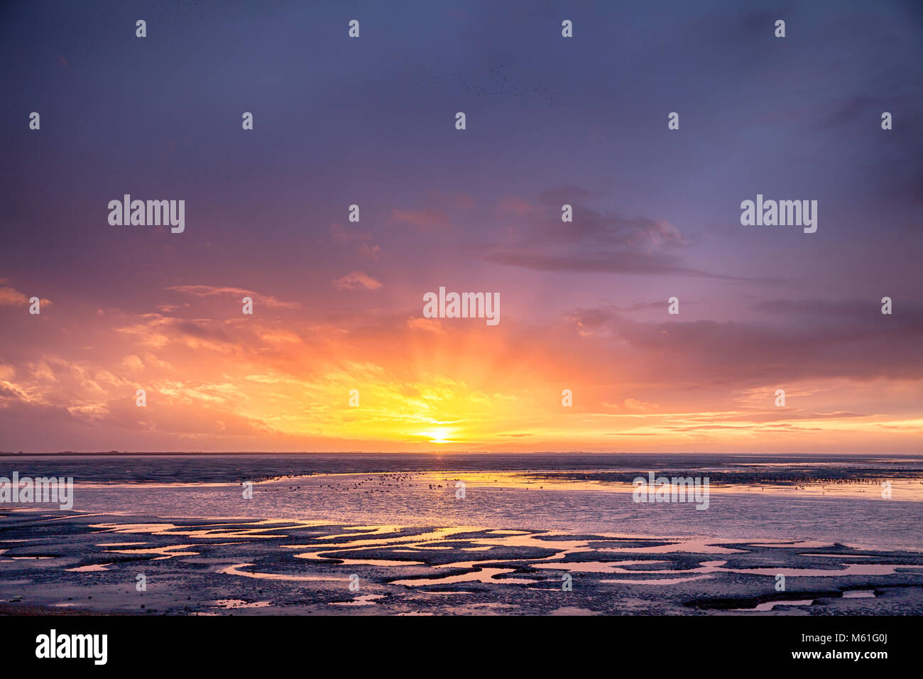 Schönen Sonnenuntergang mit den Ozeanen Tide in der Kommenden und große Herden von wild lebenden Vogelarten. Orange und lila Himmel leuchtet der Ostküste in Norfolk England fa Stockfoto
