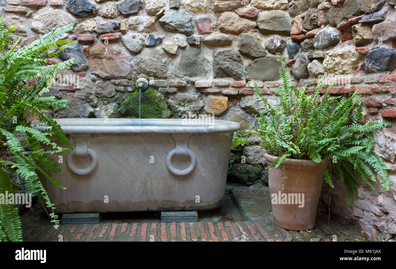 Klassische Brunnen neben einer mittelalterlichen Mauer und durch zwei Farnen umgeben Stockfoto