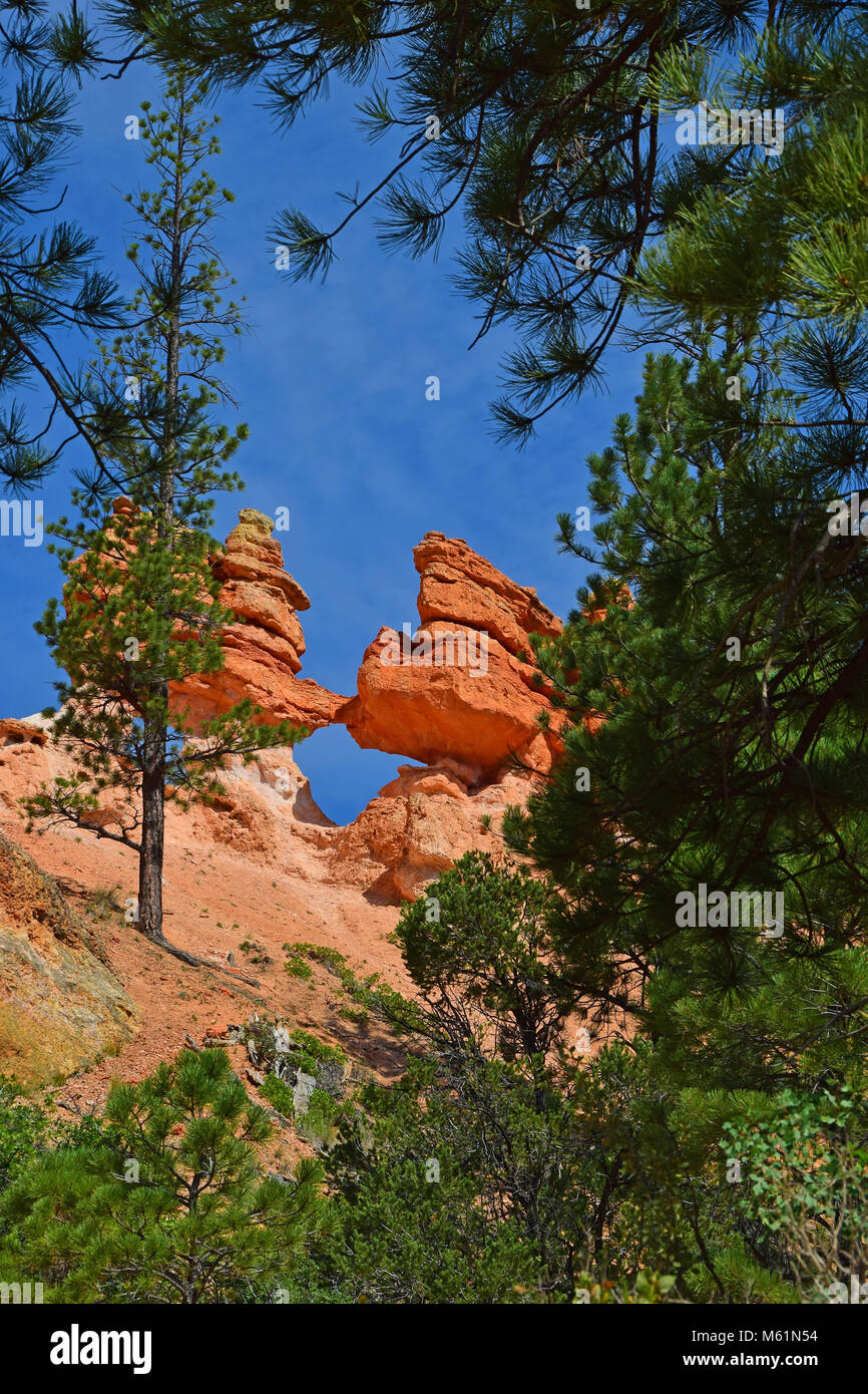 Red Canyon im südlichen Utah Stockfoto