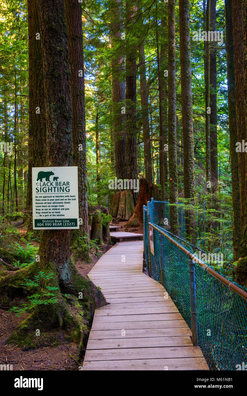 Black Bear Sichtung Warnschild Stockfoto