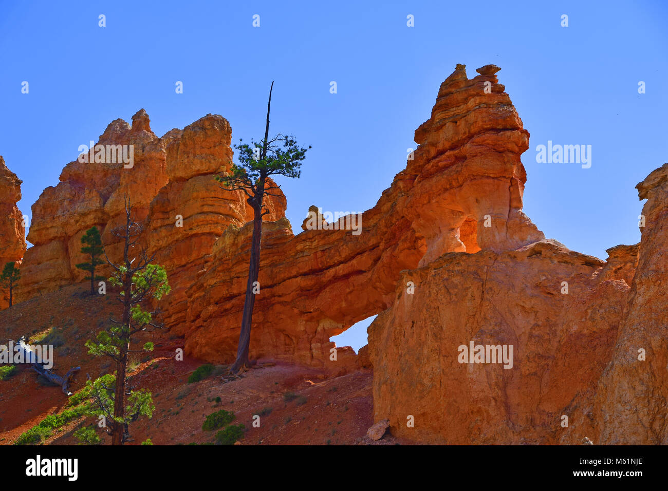 Red Canyon im Südwesten von Utah, USA Stockfoto