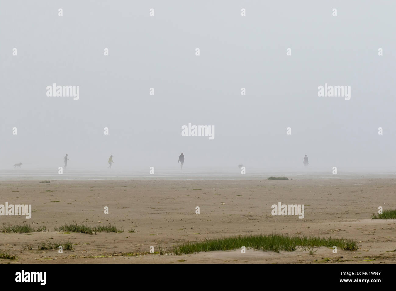 Schnell trat Meer Nebel kann gefährlich sein, wenn Sie auf den Wattflächen des Wattenmeeres, wie Sie die Orientierung verlieren kann. Stockfoto